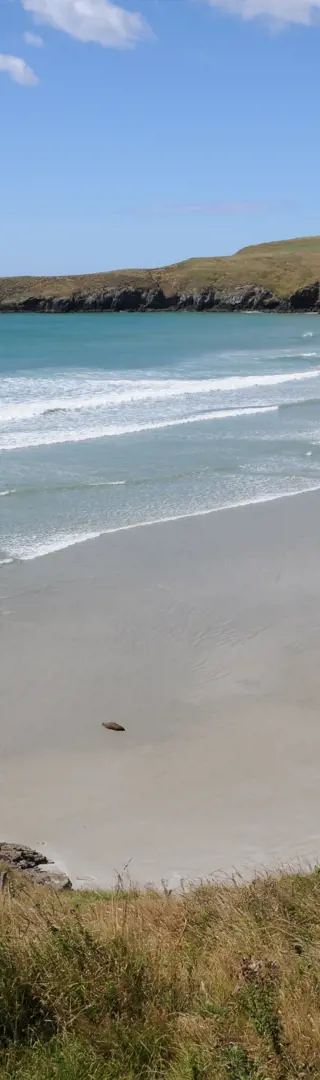 Der Pinguinstrand